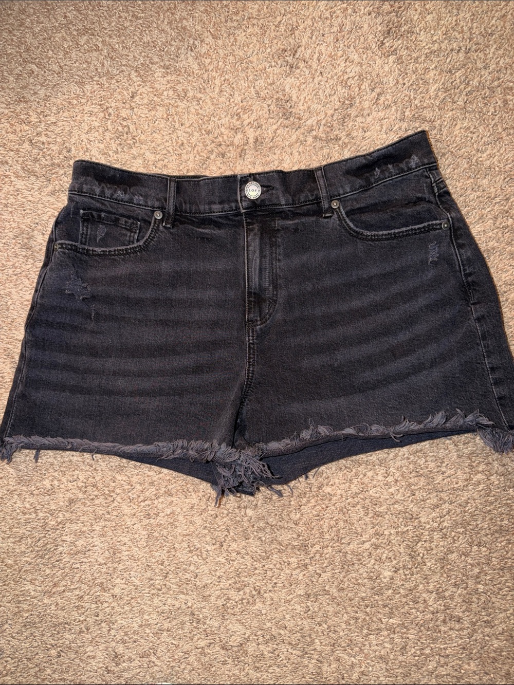 Loft shorts size 30/10